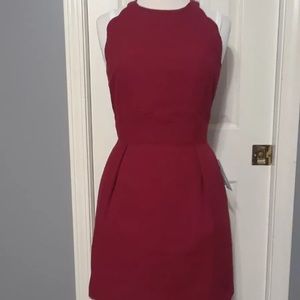 NWT Lauren James Auburn Red Landry Dress - Medium
